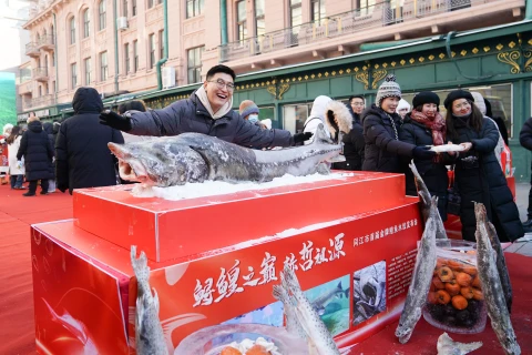 黑龙江同江鳇鱼水饺亮相哈尔滨