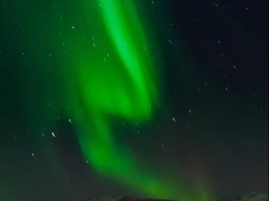 Découvrez le spectacle époustouflant de l'Aurore : une danse de lumière dans le ciel nocturne