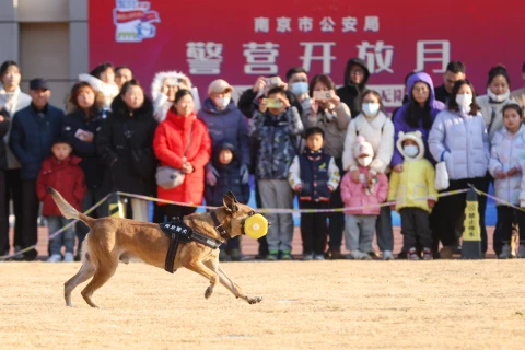 南京公安“警营开放月”活动吸引众多市民，警犬表演赢得民众喜爱