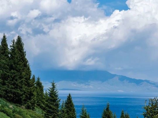 Découvrez les trésors de la nature : de la flore aux océans