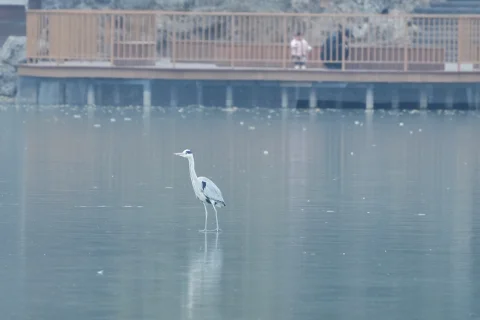 北京迎来“冰冻模式”：户外水域已结冰，冬季景色美不胜收